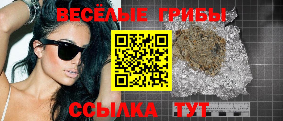 Галлюциногенные грибы Psilocybine cubensis  Вход с VPN  что такое   Зима 