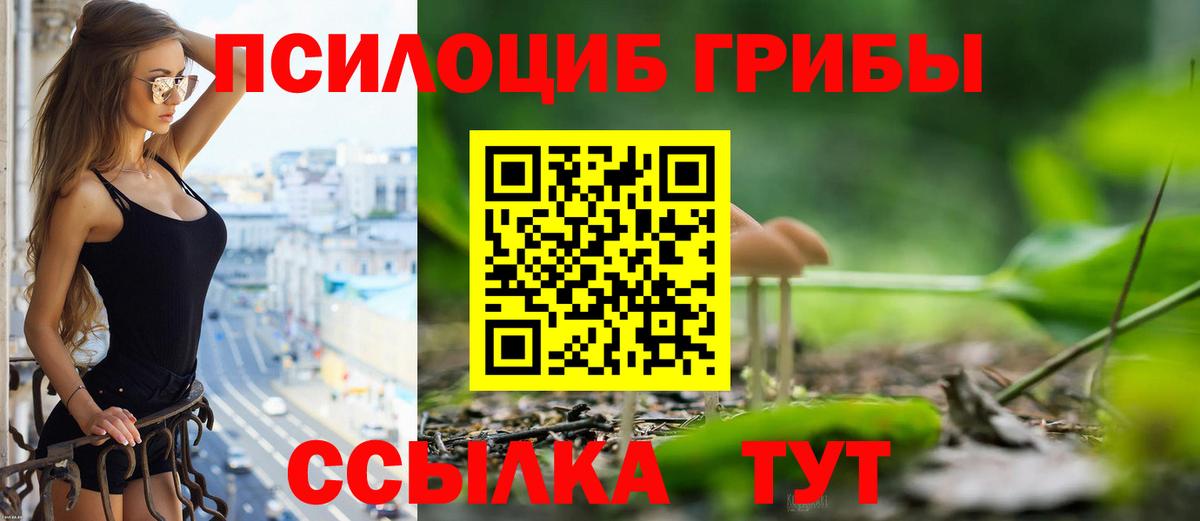 Псилоцибиновые грибы мицелий Зима